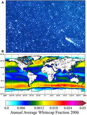 Hyperspectral Measurements, Parameterizations, and Atmospheric Correction of Whitecaps and Foam From Visible to Shortwave Infrared for Ocean Color Remote Sensing